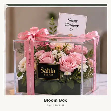 Bloom Box Cipete